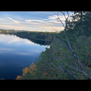 Meet your Posher, Ladybug